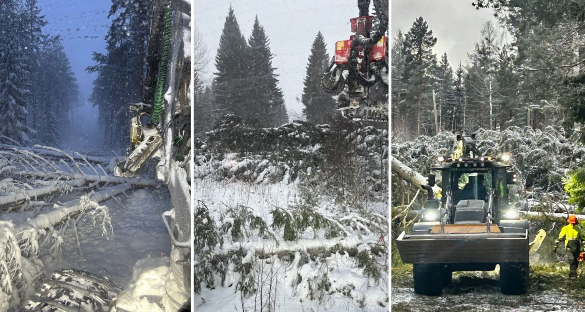 Gemensamt uttalande från Ellevio, Eon och Svk med anledning av stormarna Johannes och Anna