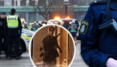 Poliserna först på plats vid Risbergska berättar: ”Avbröt dödliga våldet”