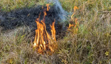 SMHI varnar: Stor risk för gräsbrand i torrt fjolårsgräs