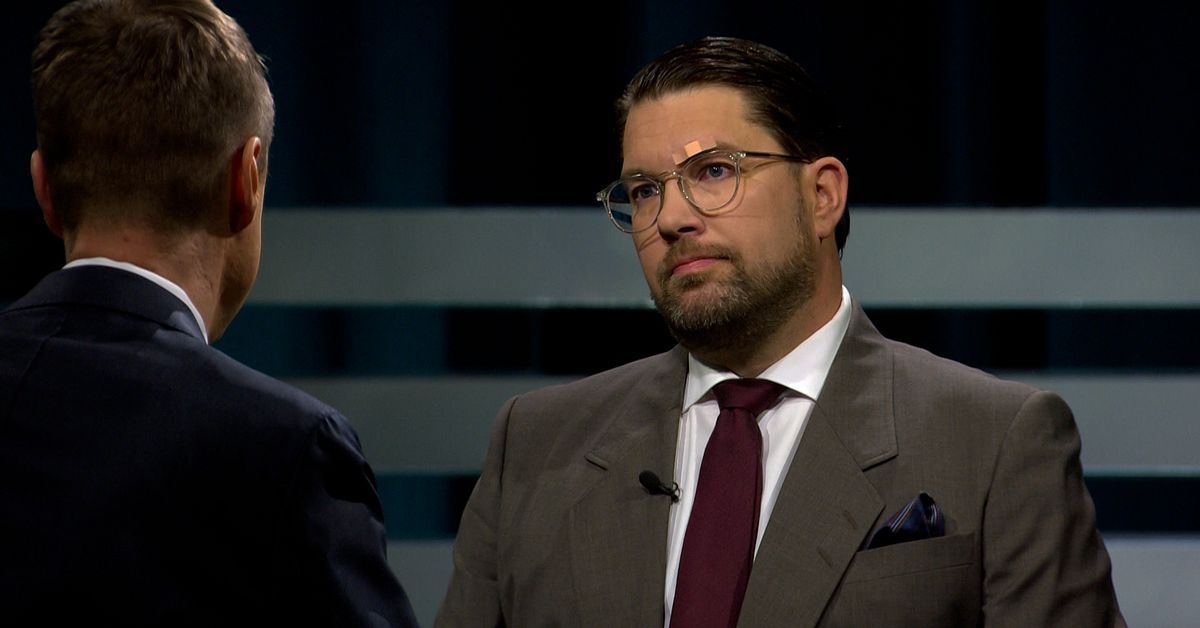 Åkesson (SD): Beredd att axla rollen som statsminister