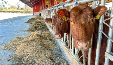 Akututlysningen fortsätter hela 2026 - Jordbruksaktuellt