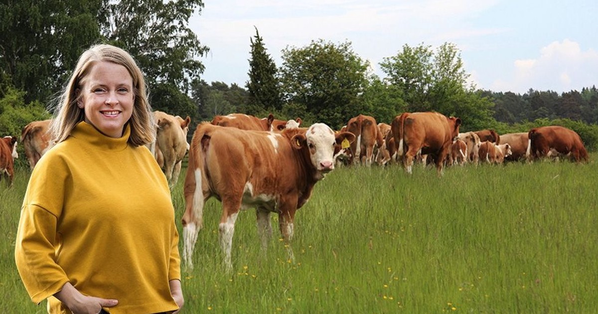 öppet mål för svenskt kött