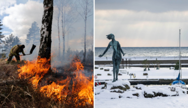 fler isdygn – och risk för gräsbränder