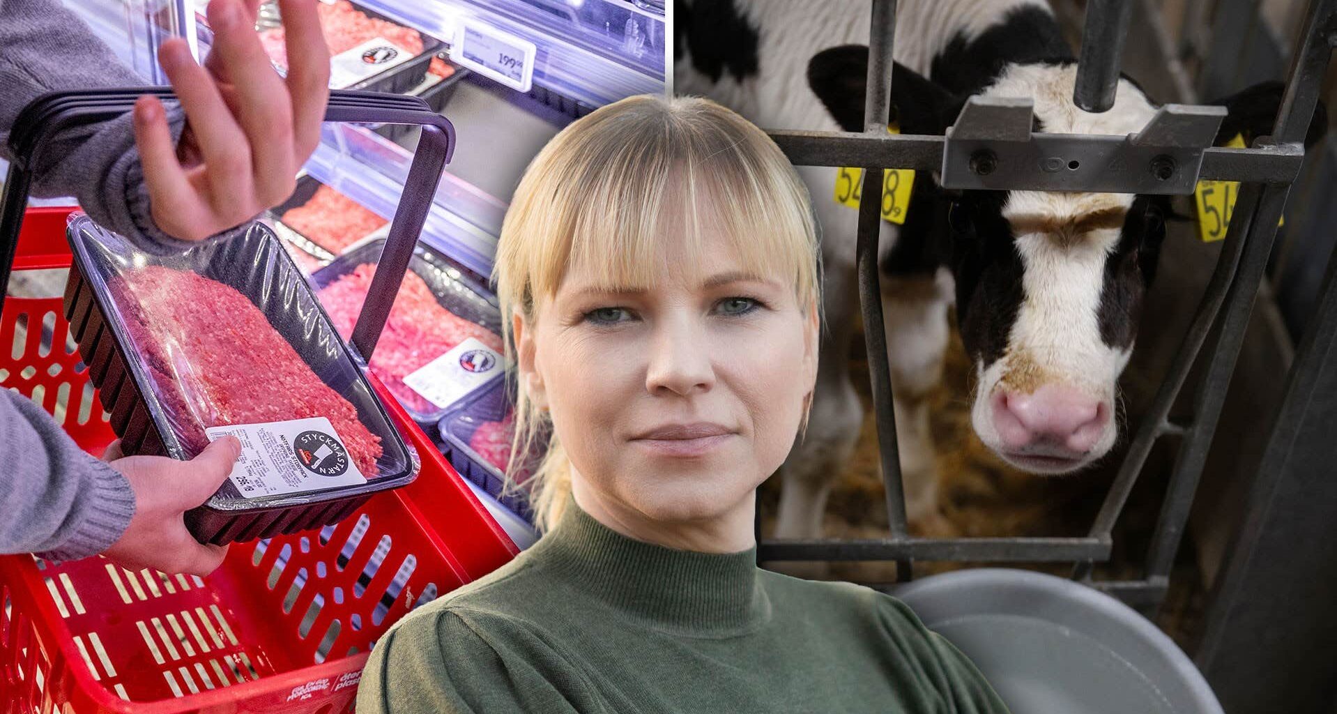 Köttfärsbristen beror på 135 procent fler regler