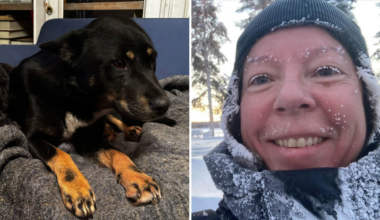 Mirakelhunden Leja var borta i fyra veckor – i rekordkylan