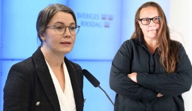 Ledare: Risken var överhängande att sossarna skulle visa sig vara just så dumma i huvudet