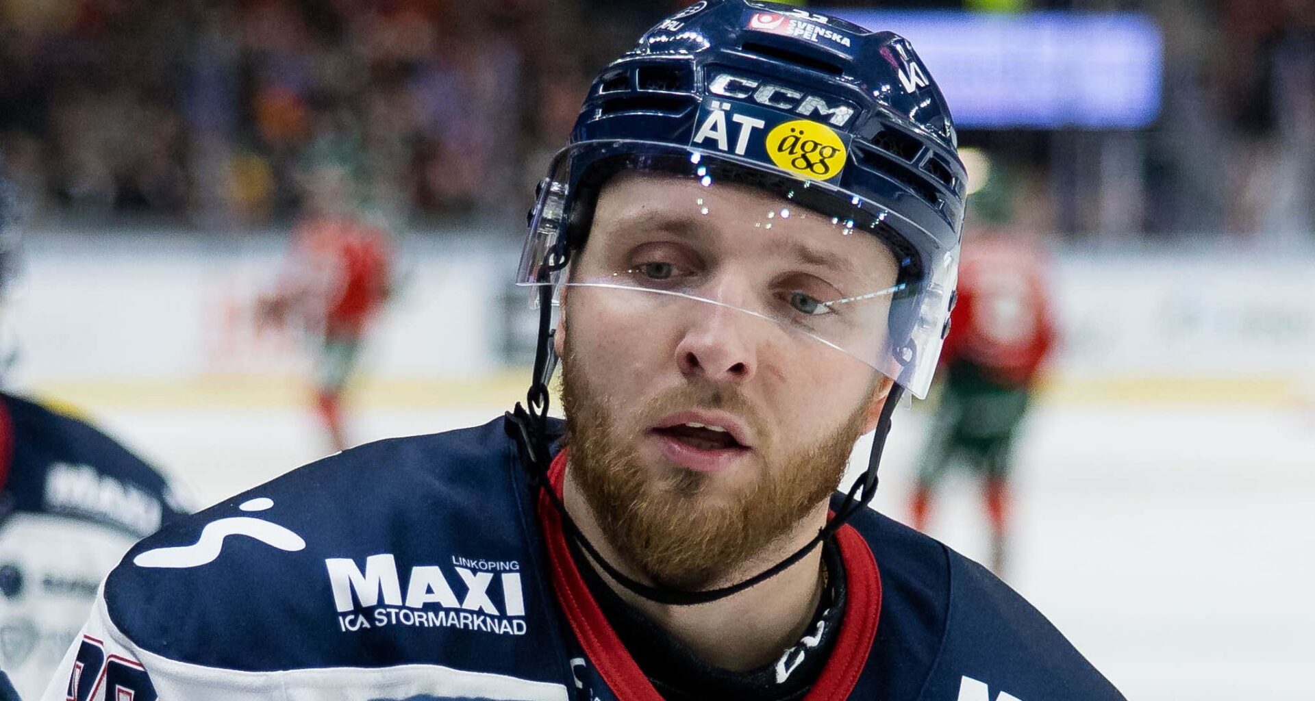 Robin Kovacs kan lämna Linköping – lockas av schweiziska klubbar | SHL
