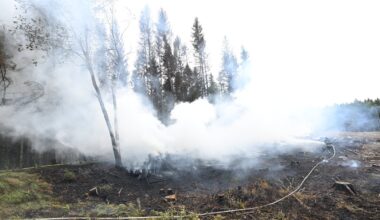 Trots iskylan – risk för gräsbrand i Skåne - Skånska Dagbladet