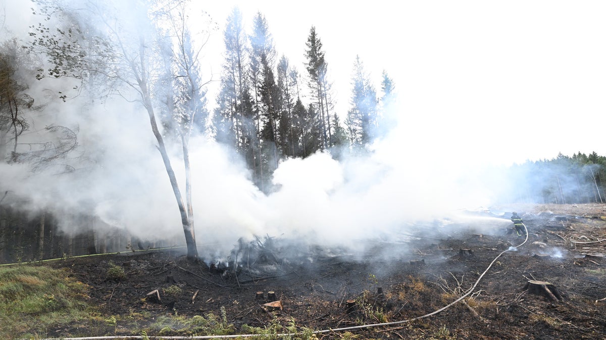 Trots iskylan – risk för gräsbrand i Skåne - Skånska Dagbladet