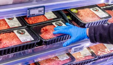 LRF efterlyser politiska beslut om nötköttsbristen