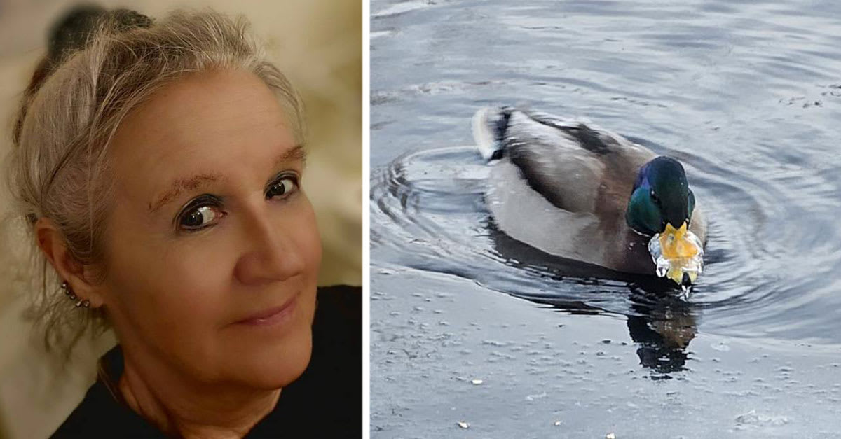 Här frös andnäbben igen: ”Blev väldigt berörd”