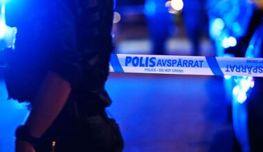 Gängtoppar ska kunna få livstids fängelse