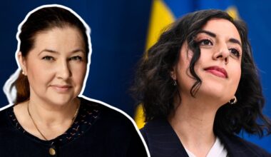Räkna inte ut Simona Mohamsson (L)