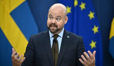 Kullgren KU-anmäls för hantering av vargfrågan