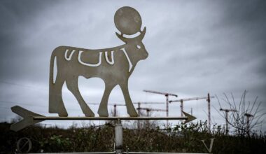 Novo Nordisk slår tillbaka mot kopian: ”Olagligt”