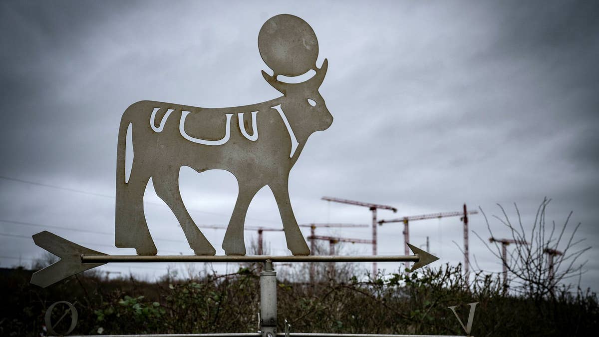 Novo Nordisk slår tillbaka mot kopian: ”Olagligt”