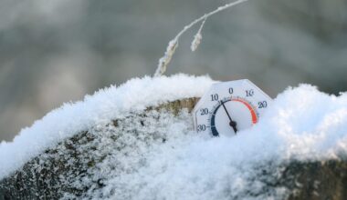 Första nationella isdygnet på två år