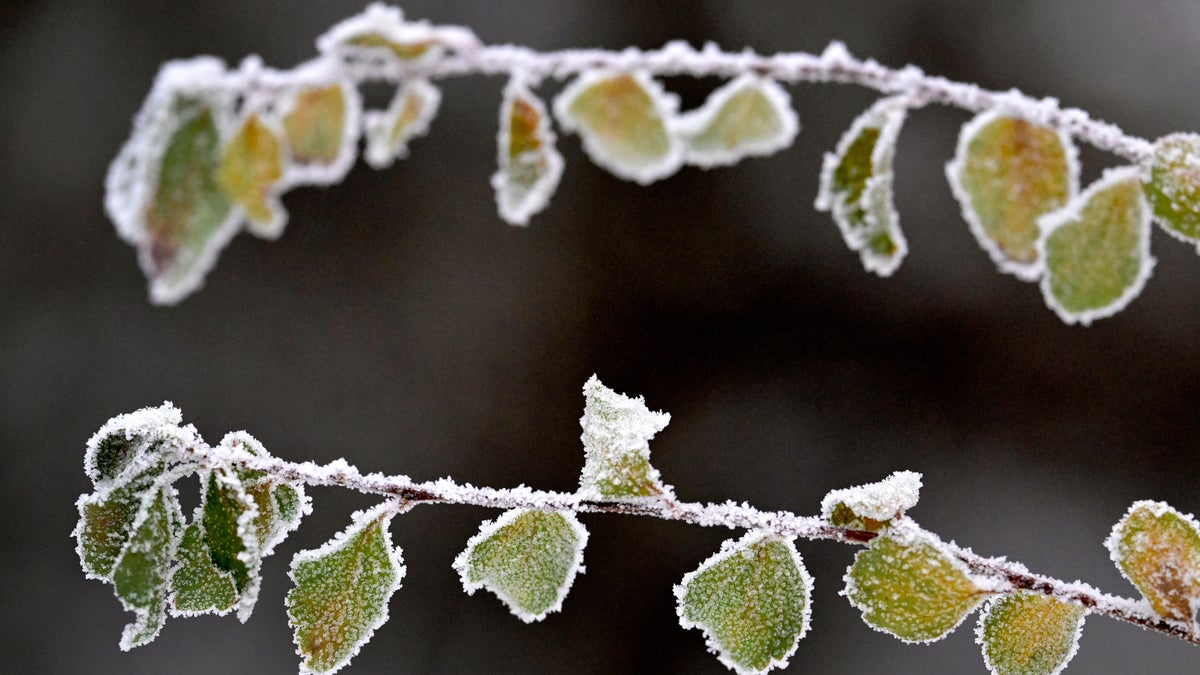 Fortsatt vinterväder i veckan – men ingen halka – Borås Tidning