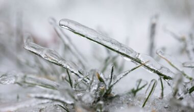 Iskyla i Skåne och risk för gräsbrand i västra Götaland