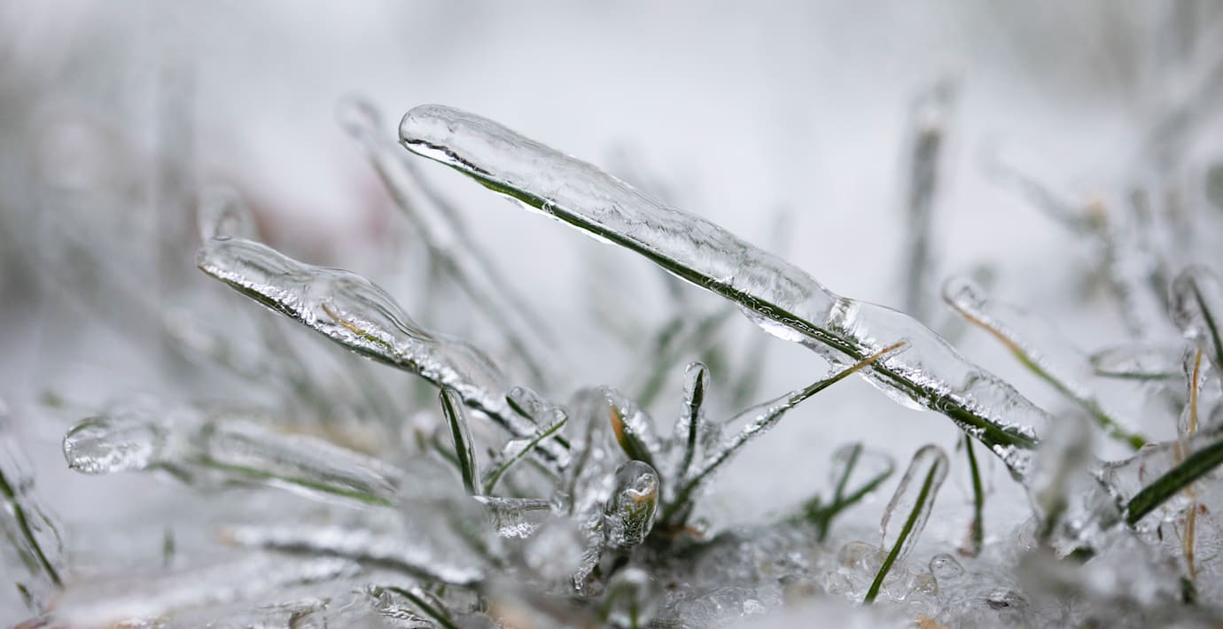 Iskyla i Skåne och risk för gräsbrand i västra Götaland