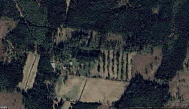 Nya ägare till lantbruksfastighet för 3 800 000 kronor i Götene – SkLT