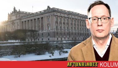 Storbråket i riksdagen är svårbegripligt