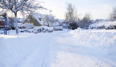 Rekordblöt januari i Uppsala 2026