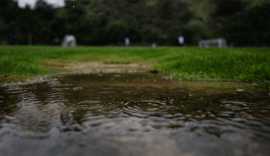 Åtta svensklag har ställt in - alla planer nedstängda - Allsvenskan