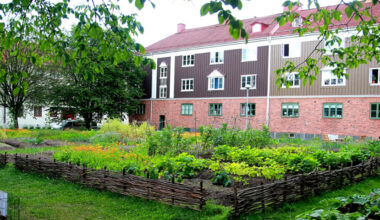 Fler behöver lära sig fröodla