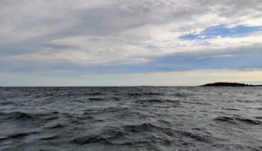 Planen sprack i år: Stiftelse vill betala fiskare hundratusentals kronor för att låta laxen vara