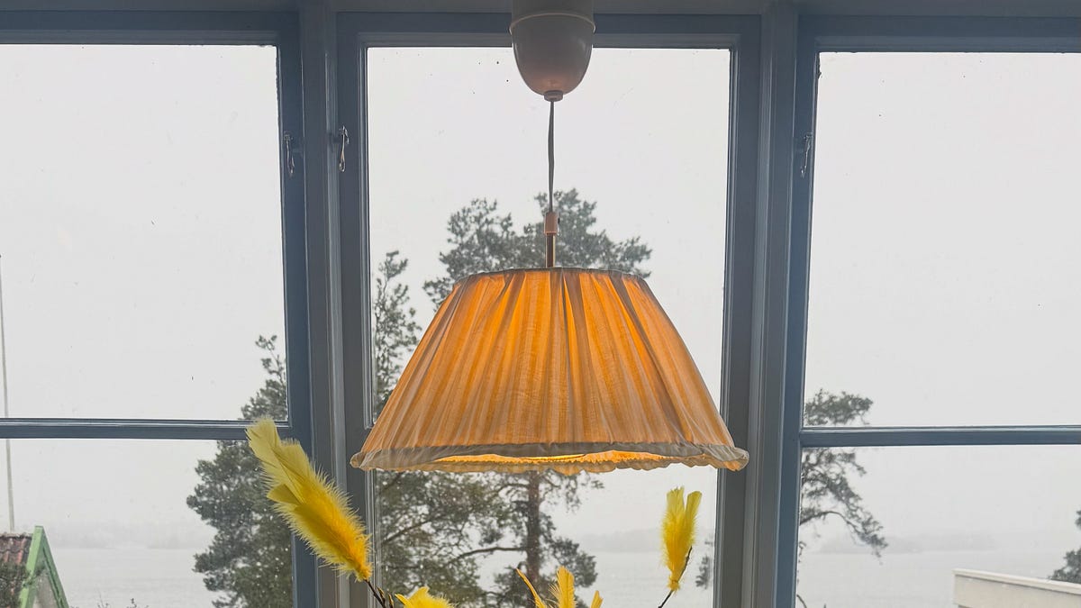 Solskydd, vårblomning, träning - by Per Grankvist