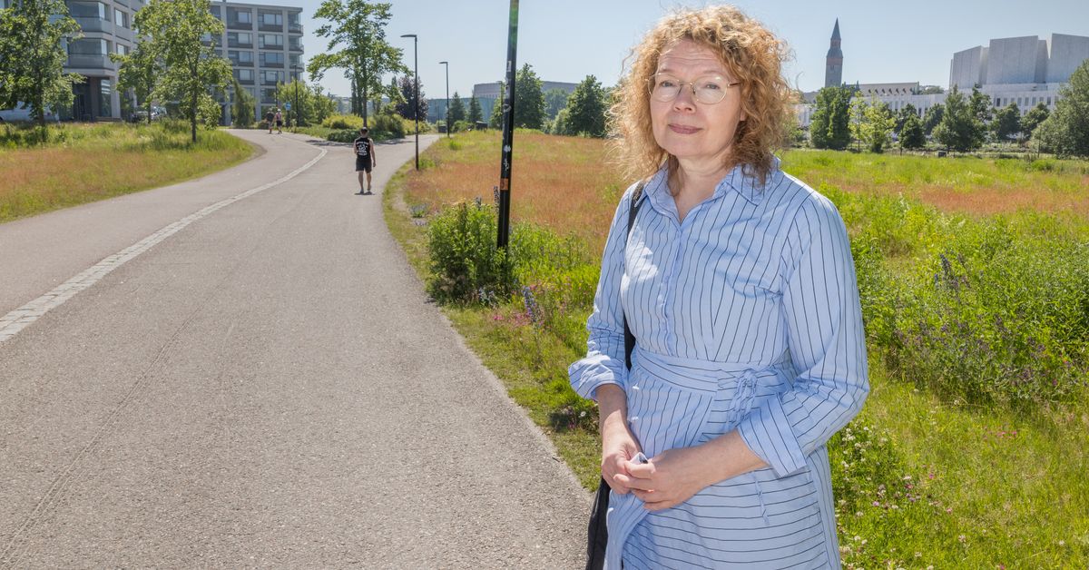 Expert: Så här kommer bränslepriserna att se ut i höst | Inrikes