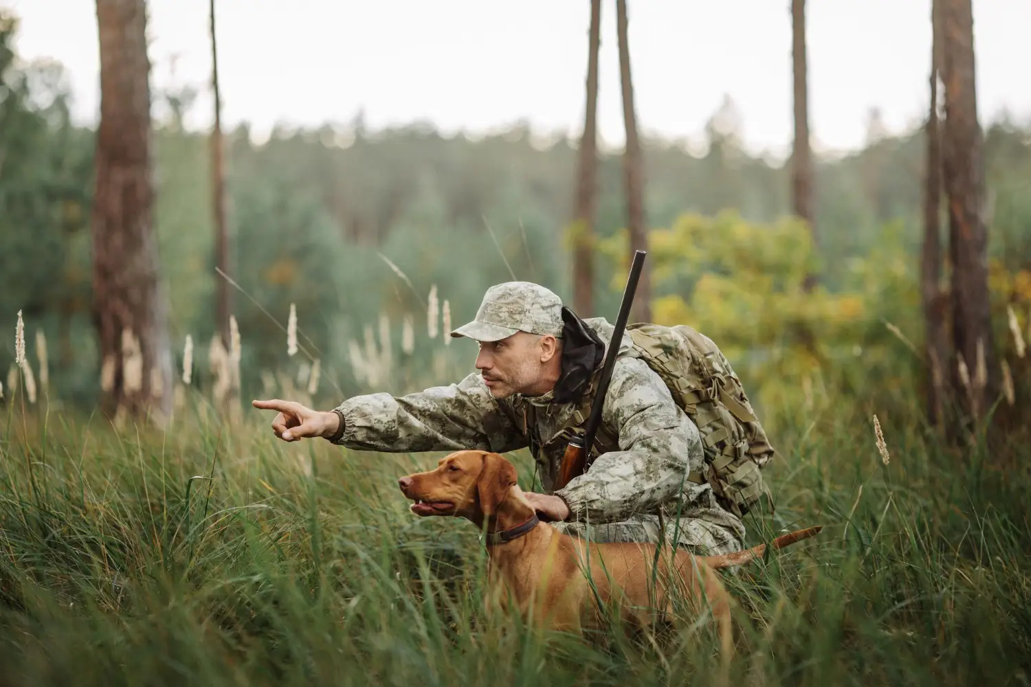 Löshundsjakt ifrågasätts - vem tar ansvar för hunden?