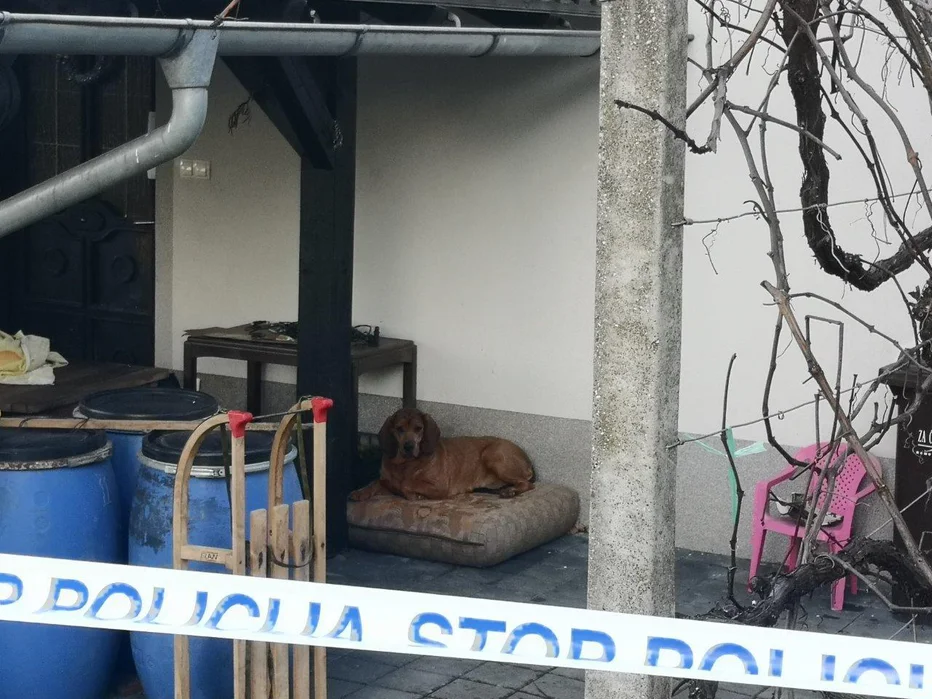 Iz pripora so ga odpeljali domov in naj bi bil nepokreten. FOTO: Milan Glavonjić