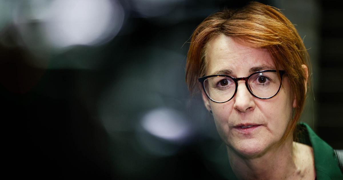 Nekdanja pravosodna ministrica udeležena v nesreči: "En me je zbil"