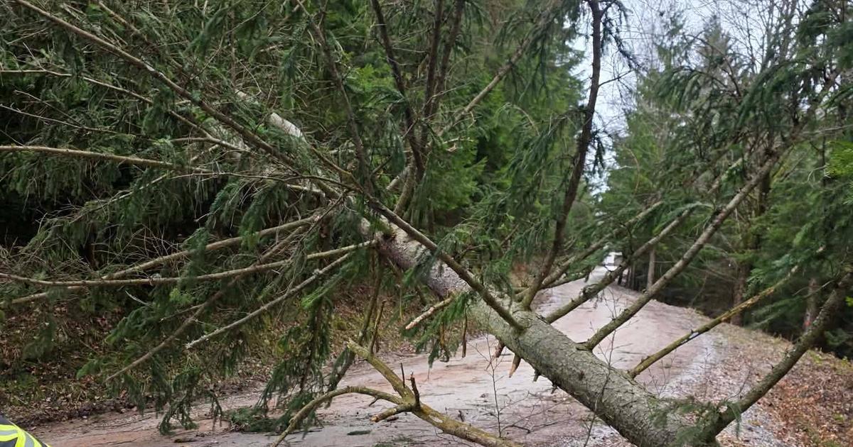 Prizori s terena so šokantni: Veter povzroča pravo razdejanje