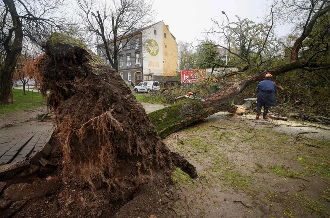 Simbolična fotografija. FOTO: Marko Parkov Afp