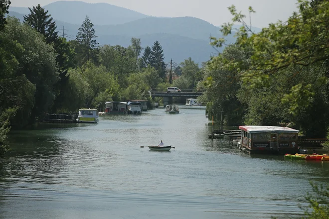 »Ljubljanica ni le reka – je del naše naravne in kulturne dediščine,« opozarjajo v organizaciji. FOTO: Leon Vidic