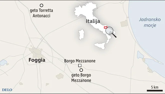 INFOGRAFIKA: Delo