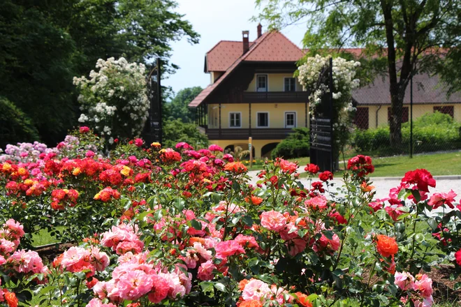 Obiskovalcem je na voljo brezplačno parkirišče v bližini vhoda. FOTO: Mateja Rečevski