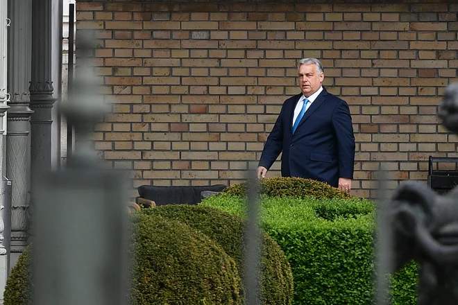 Viktor Orban. FOTO: Ferenc Isza Afp