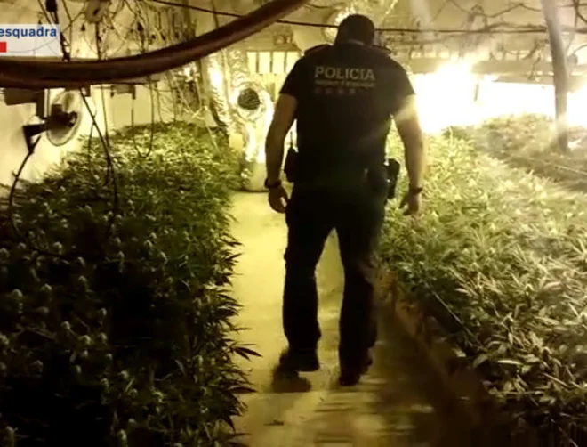 »Zakaj se policisti ne ukvarjajo s korupcijo, zakaj ne preiskujejo težjih kaznivih dejanj, zakaj sodstvo zapravlja čas v pregonu ljudi, ki s svojim početjem ne škodujejo nikomur?,« je bil oster Feratović. FOTO: delCamp 