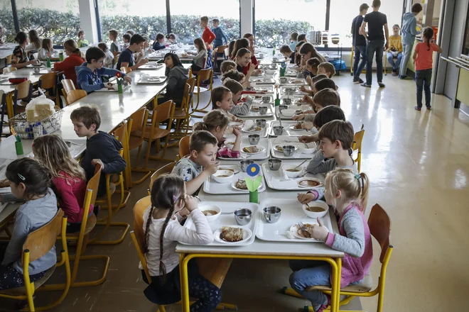 NIJZ navaja, da približno 40 odstotkov šol ponuja prehrano brez svinjine, okoli 23 odstotkov vegetarijansko prehrano, večina preostalih pa prilagoditev ne omogoča, če niso medicinsko utemeljene. FOTO: Uroš Hočevar