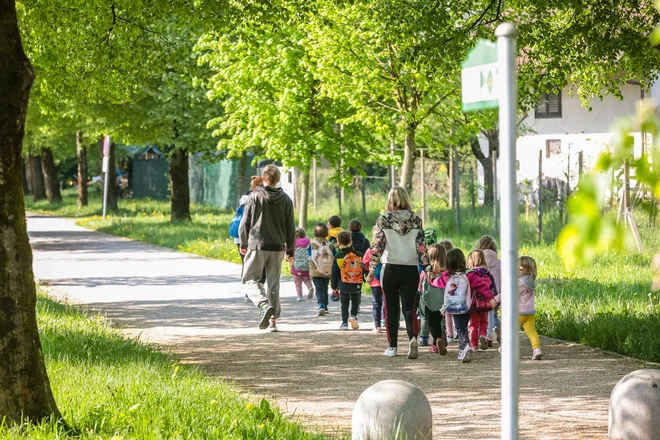 68. Pot ob žici bodo v četrtek otvorili otroci iz ljubljanskih vrtcev.  FOTO: Črt Piksi/Delo