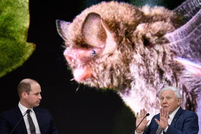 Skupaj s princem Williamom na Svetovnem ekonomskem forumu. FOTO: Fabrice Coffrini/Afp