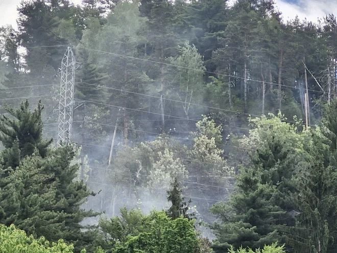 Gasilci se na grajskem pobočju borijo z ognjem. FOTO: Špela Kuralt