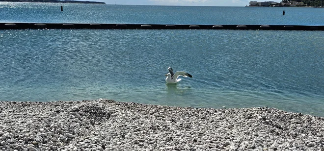 Plaža Portorož ima na enem delu povsem novo podobo. FOTO: Boris Šuligoj