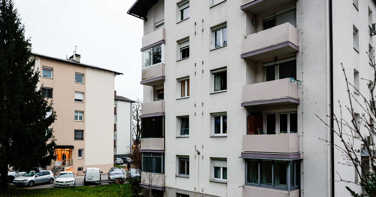 Je kje meja? 650 € za garsonjero, a brez tuširanja, kuhanja in obiskov ponoči