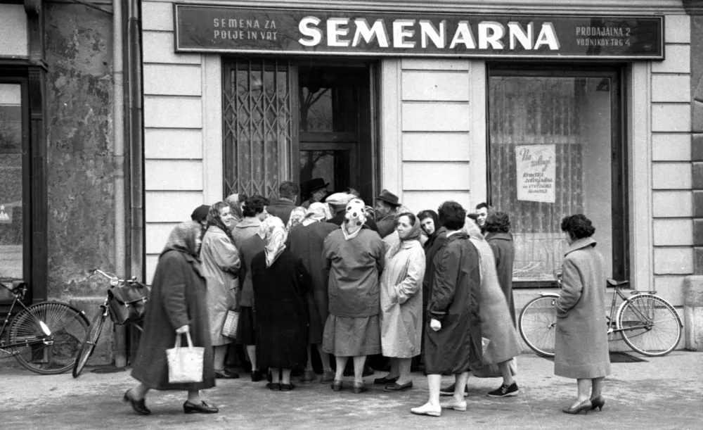 Spomladi je bila pred Semenarno vedno gneča, saj so gospodinje v dolgih vrstah kupovale semena za pravočasno pripravo vrtov. / Foto: Marjan Ciglič, hrani Muzej Novejše In Sodobne Zgodovine Slovenije
