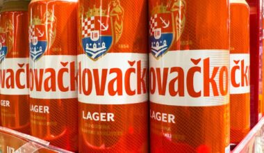 Hrvaška uvaja veliko spremembo: ljubiteljem alkohola ne bo všeč